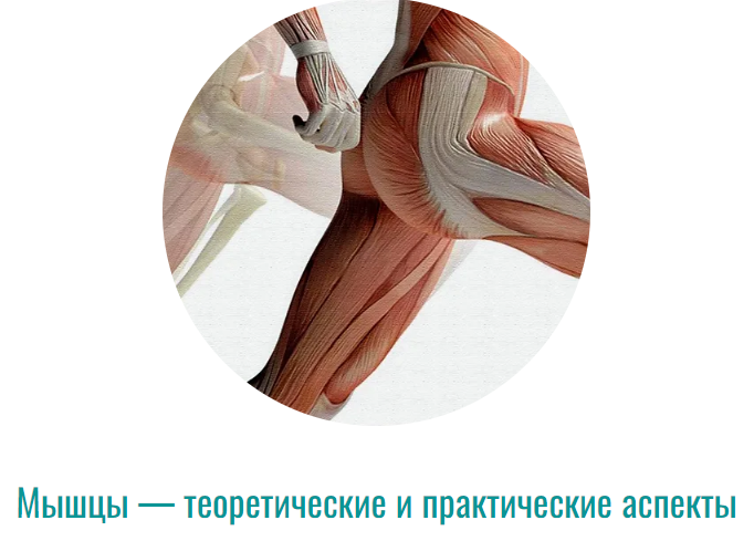 [Массажная школа Елены Земсковой] Константин Берма_0.png